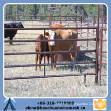 Popular Customized Grassland Fence for Sheep/Horse/Cow with Best Quality and Lowest Price